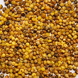 172603214644409600