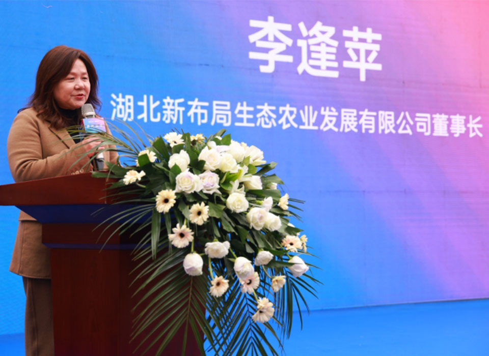 银河优越会(中国区)官方网站-WeChat百科