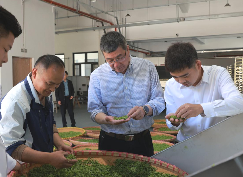 银河优越会(中国区)官方网站-WeChat百科