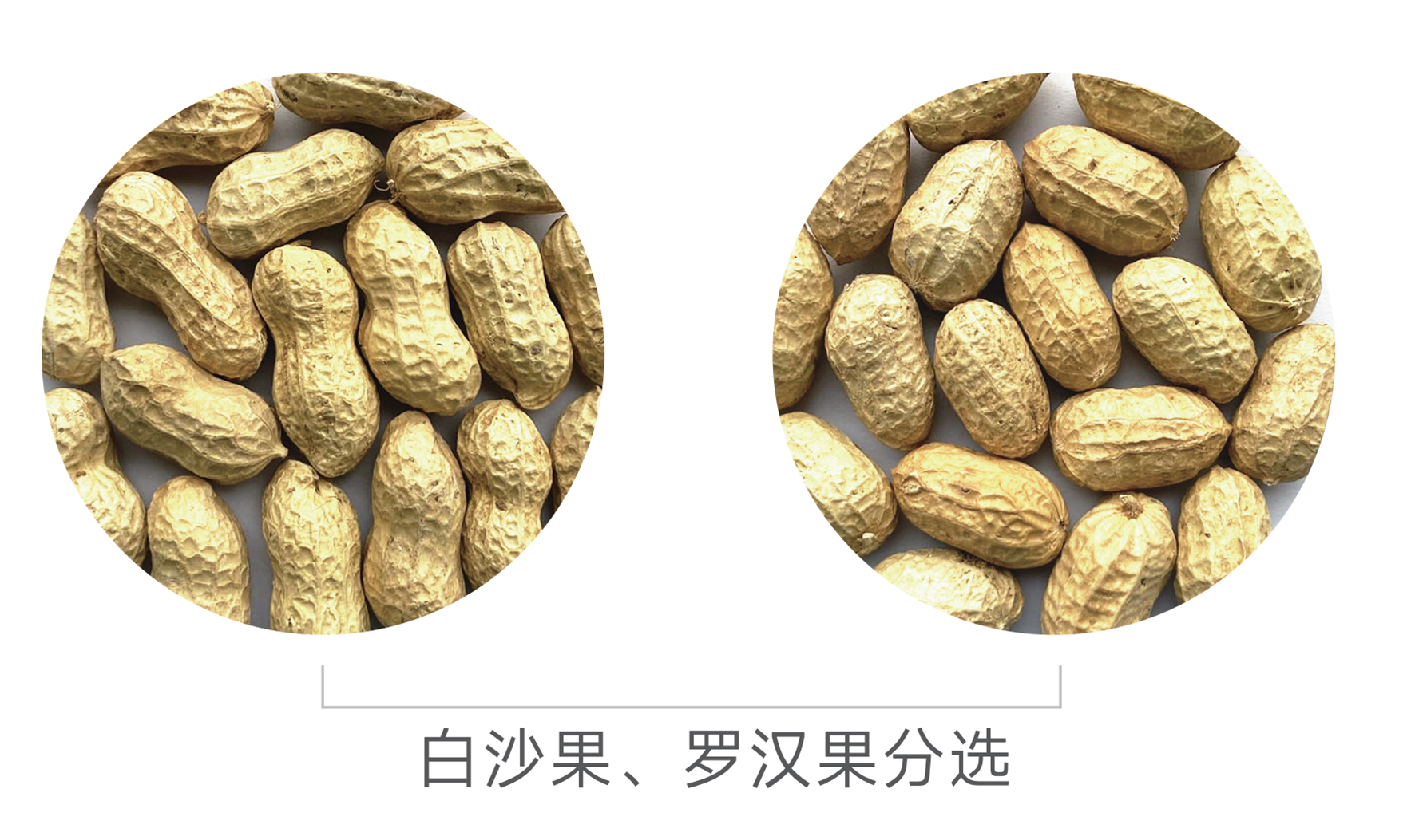 银河优越会(中国区)官方网站-WeChat百科